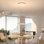 Flush Mount Ceiling Pendant Light with LED Illumination