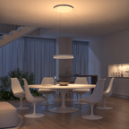 Flush Mount Ceiling Pendant Light with LED Illumination