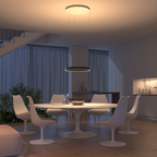 Flush Mount Ceiling Pendant Light with LED Illumination