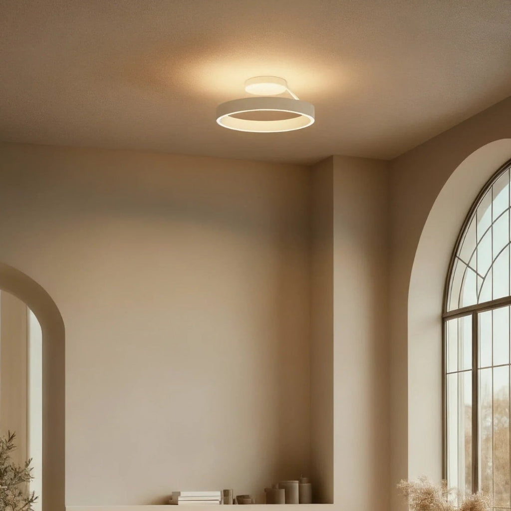 Round Flush Mount Ceiling Light with LED Illumination