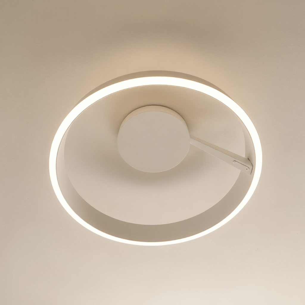 Round Flush Mount Ceiling Light with LED Illumination