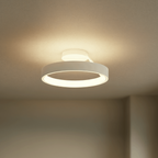 Round Flush Mount Ceiling Light with LED Illumination