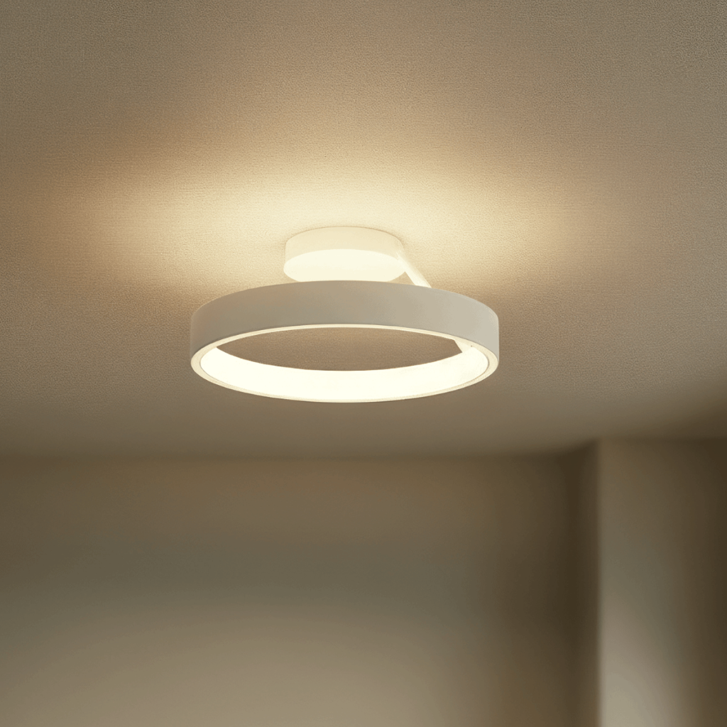 Round Flush Mount Ceiling Light with LED Illumination