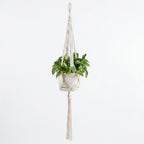 Twisted Cord Design Macramé Plant Hanger with Knotted Detailing