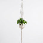 Twisted Cord Design Macramé Plant Hanger with Knotted Detailing