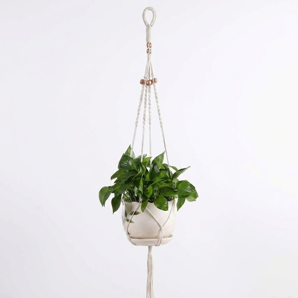 Twisted Cord Design Macramé Plant Hanger with Knotted Detailing