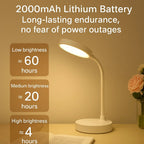 Adjustable Reading Light with USB Charging – LED Desk Lamp