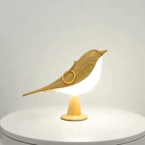 Sculptural Aromatherapy Night Lamp with Touch Control