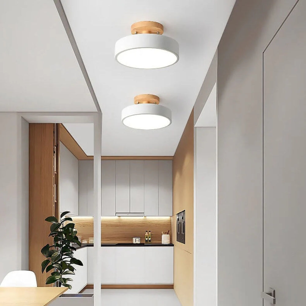 Contemporary LED Ceiling Fixture - Semi-Flush Mount Lighting