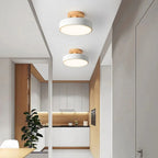 Contemporary LED Ceiling Fixture - Semi-Flush Mount Lighting