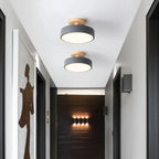 Contemporary LED Ceiling Fixture - Semi-Flush Mount Lighting
