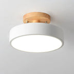 Contemporary LED Ceiling Fixture - Semi-Flush Mount Lighting
