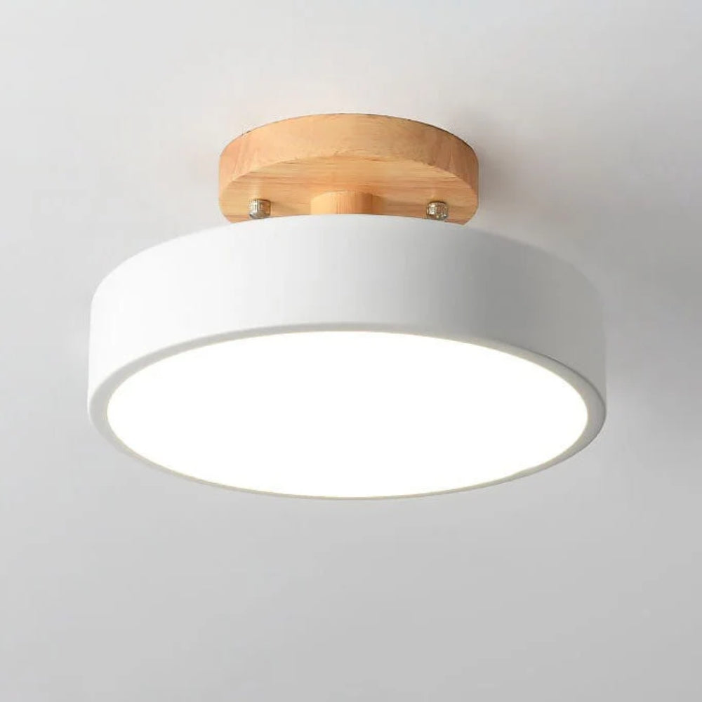 Contemporary LED Ceiling Fixture - Semi-Flush Mount Lighting