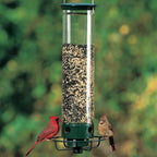 Hanging Bird Feeder for Outdoor Use - Tube Style