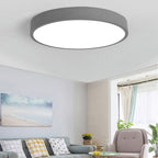 Modern Round LED Flush Mount Ceiling Light for Living Room