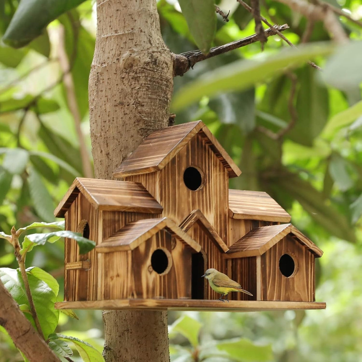 Outdoor Birdhouse with Natural Rustic Style