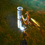 Lighted Rain Gauge Pole for Garden with Solar Praying Mantis Design