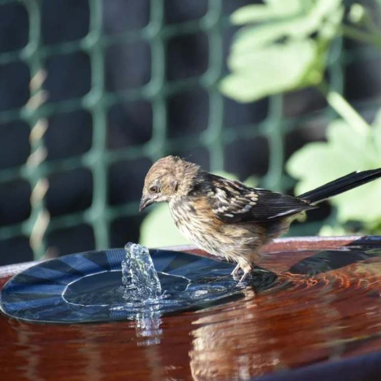 Solar-Powered Floating Fountain Pump for Garden Ponds and Basins