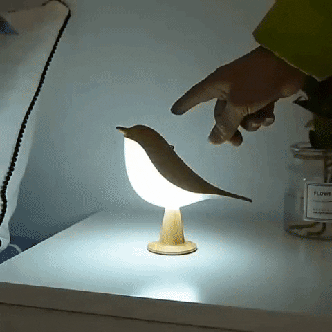 Sculptural Aromatherapy Night Lamp with Touch Control