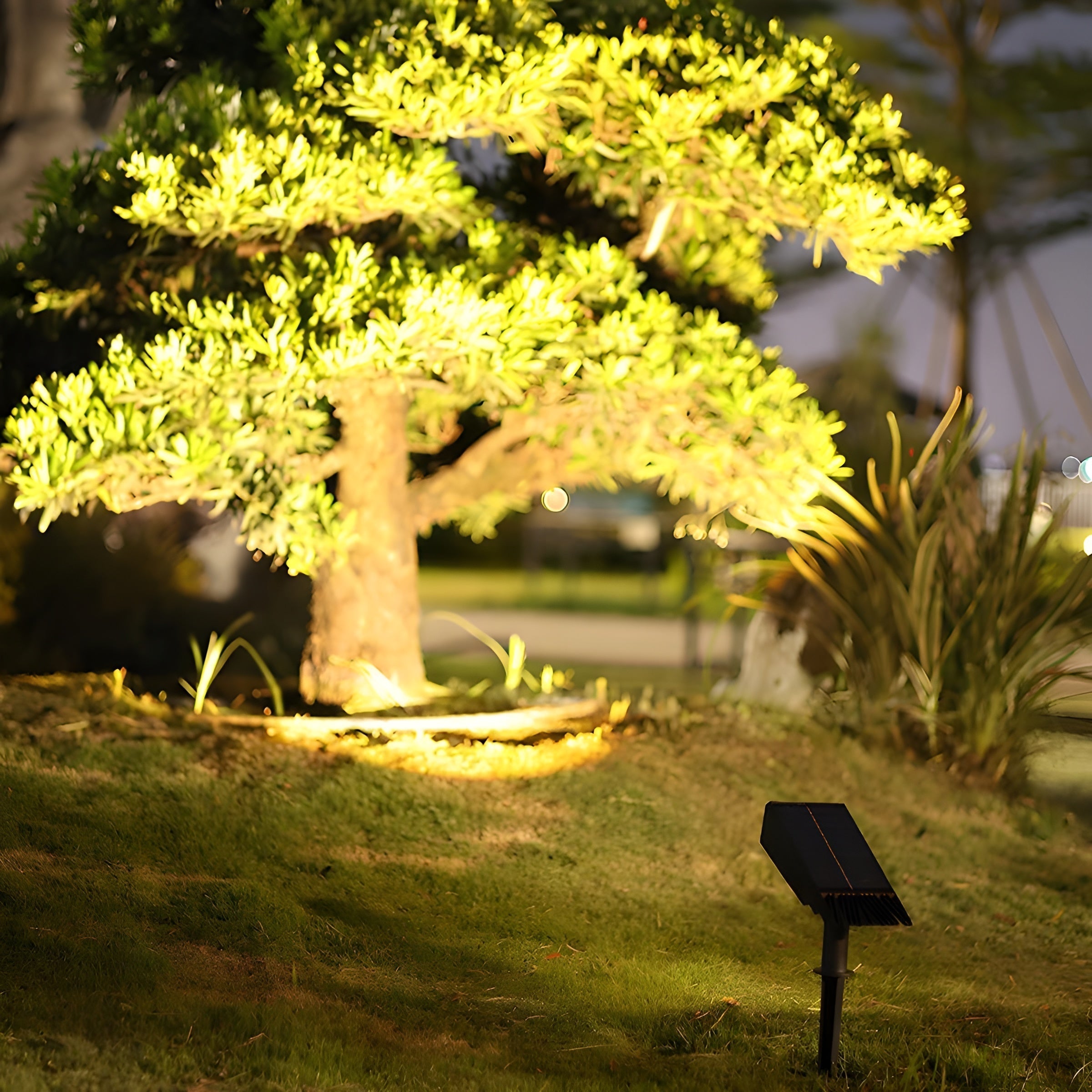 Adjustable Solar Garden Spotlight with Outdoor Illumination
