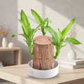 Indoor Outdoor Flower Pot Display Shelf - Wooden Plant Stand